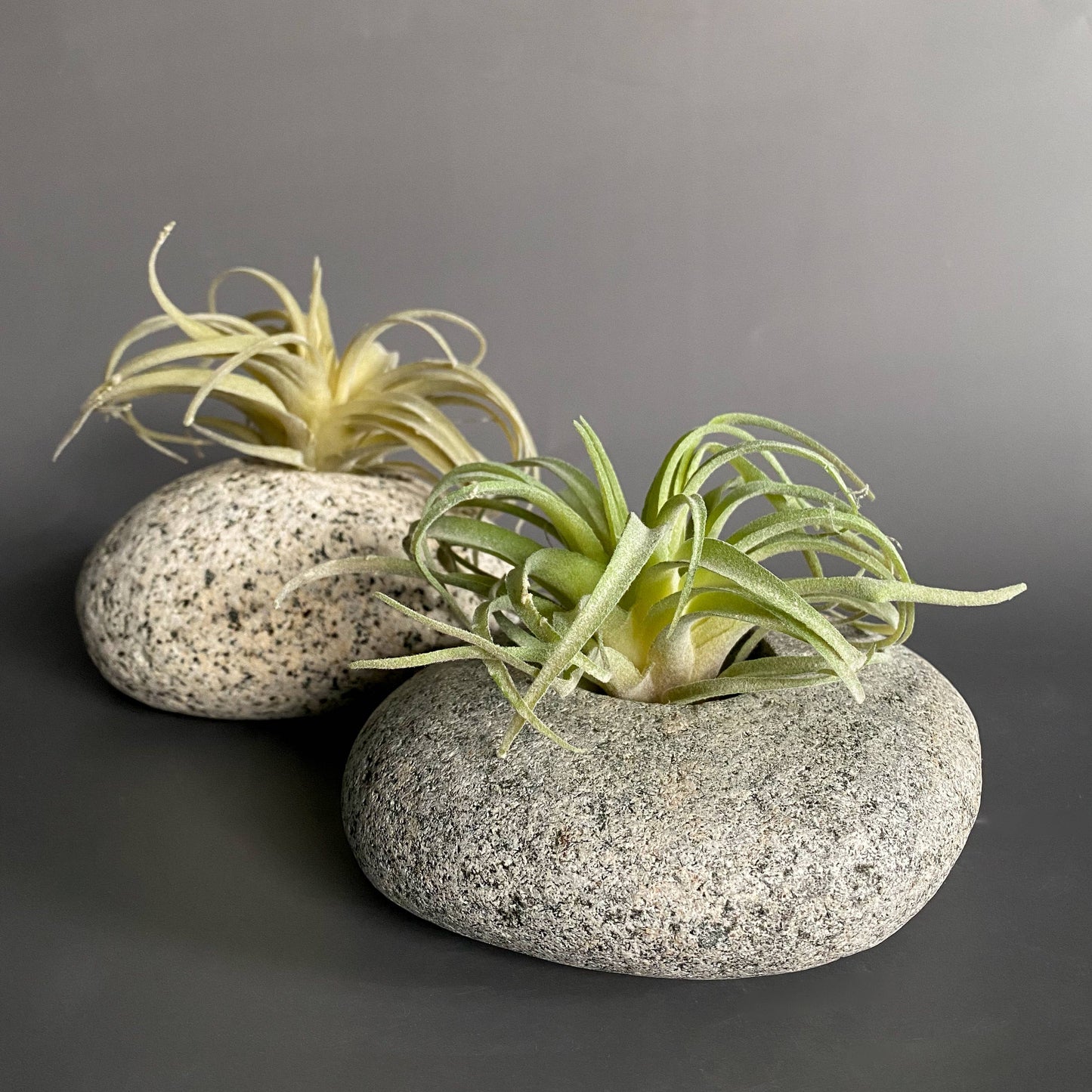 Natural Stone Planter
