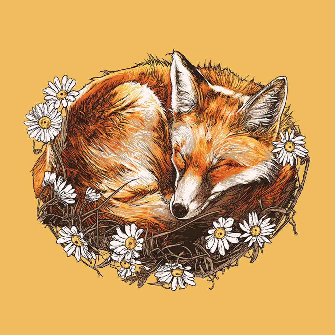 Sleeping Fox Gift Card