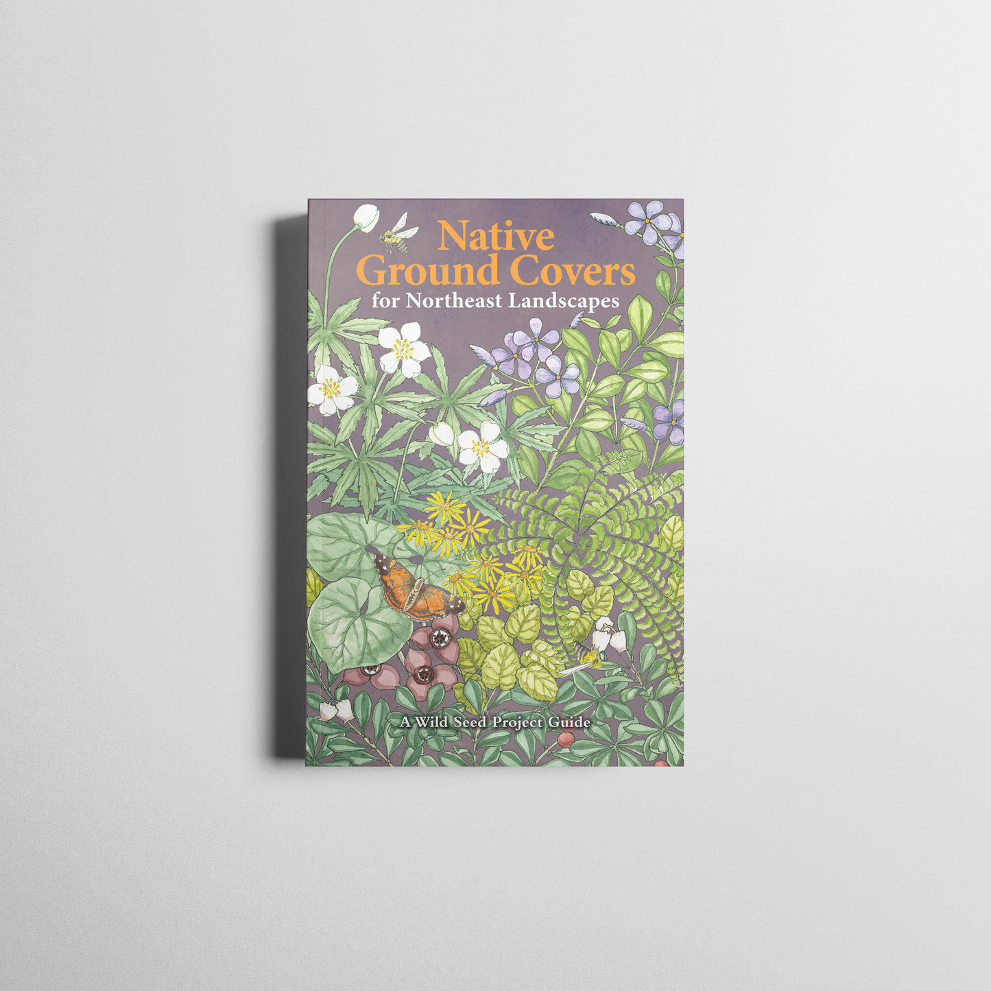 Native Ground Covers for Northeast Landscapes