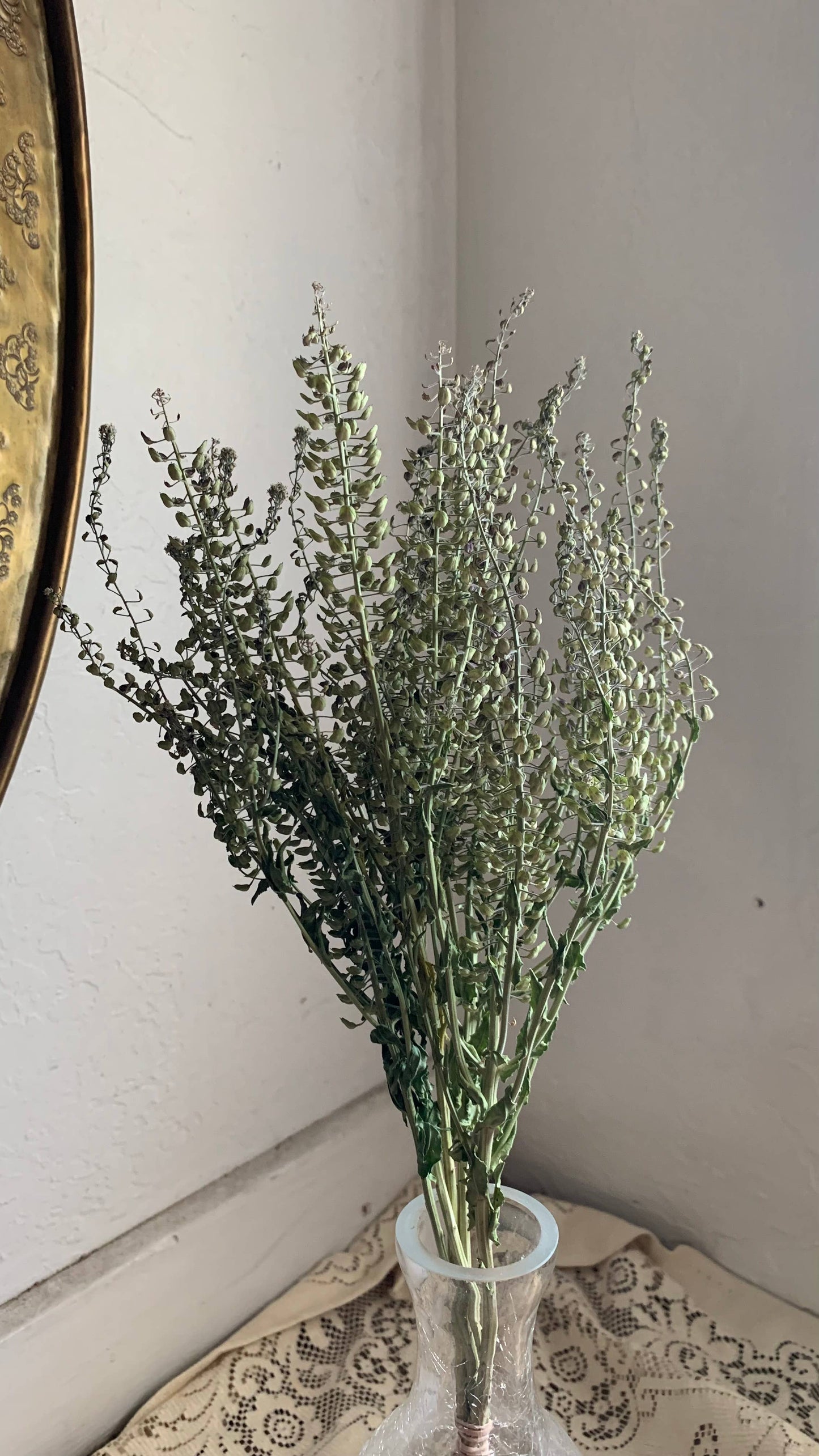 Dried Peppergrass Cress Wildflower- Boho Decor