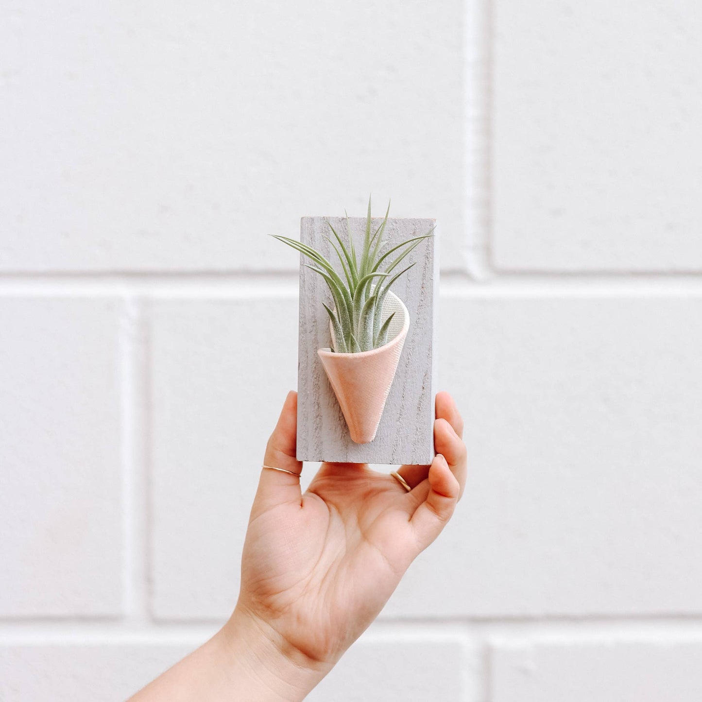 Ceramic Wall Planter - Tiny