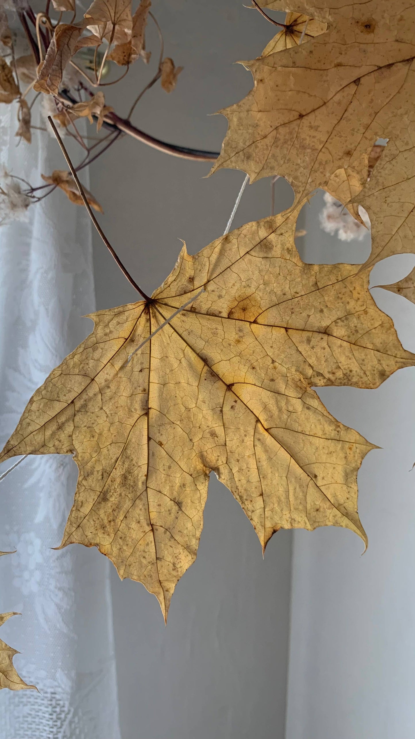 Dried Big Leaf Maple Garland - Natural Forest Decor