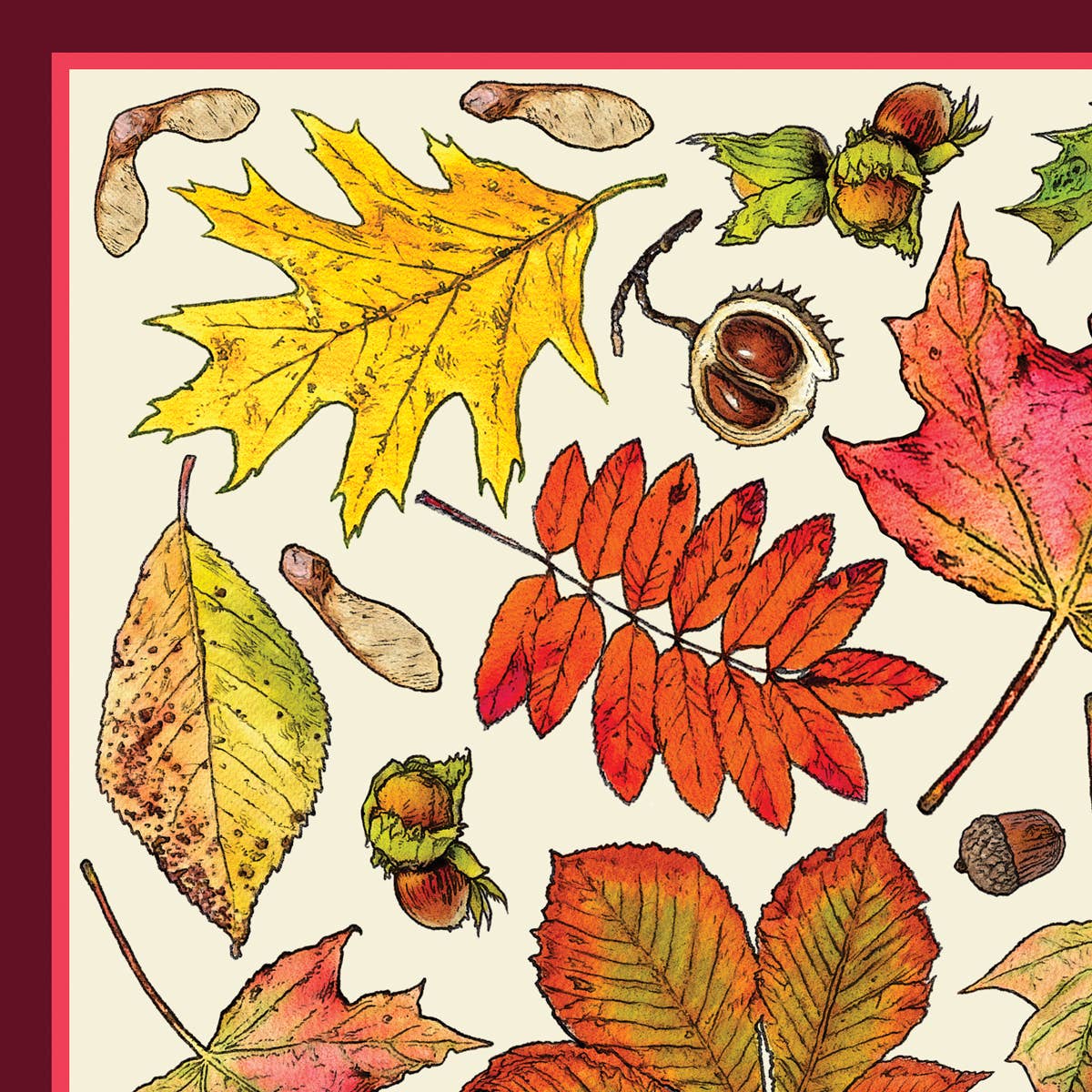 Fall Leaves Paper Placemats (Set of 20)