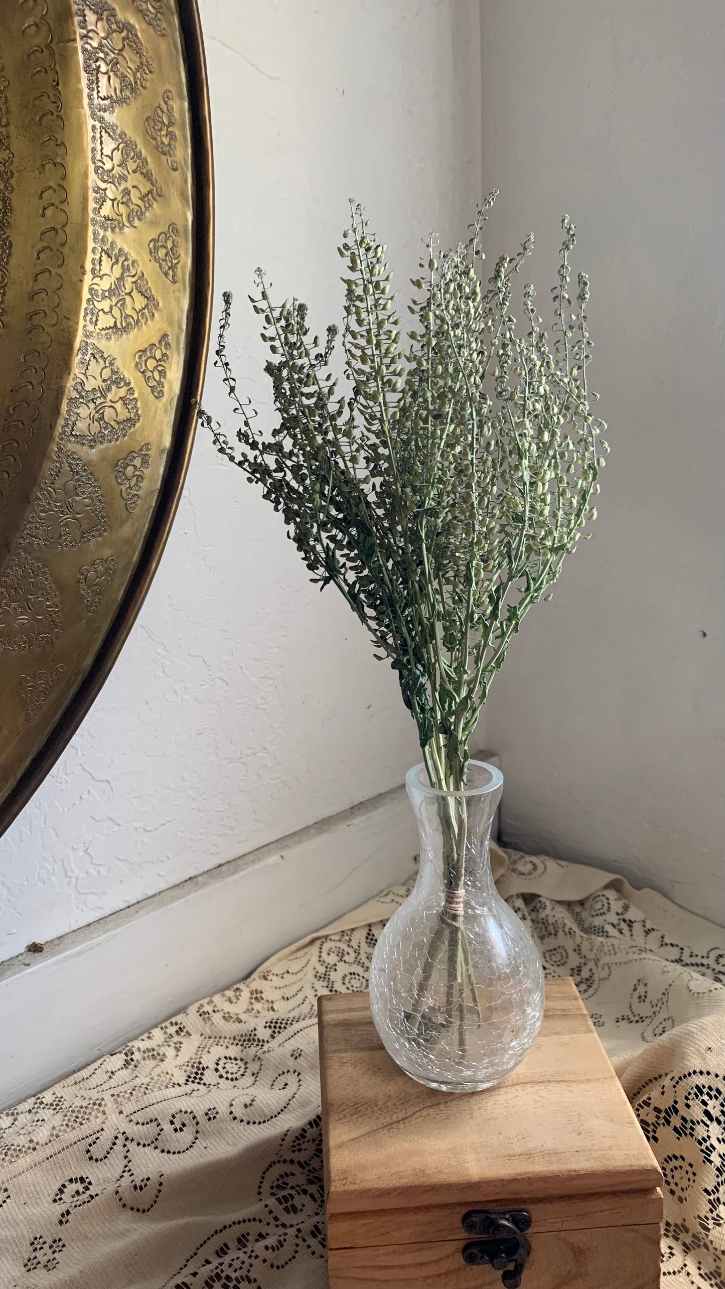 Dried Peppergrass Cress Wildflower- Boho Decor