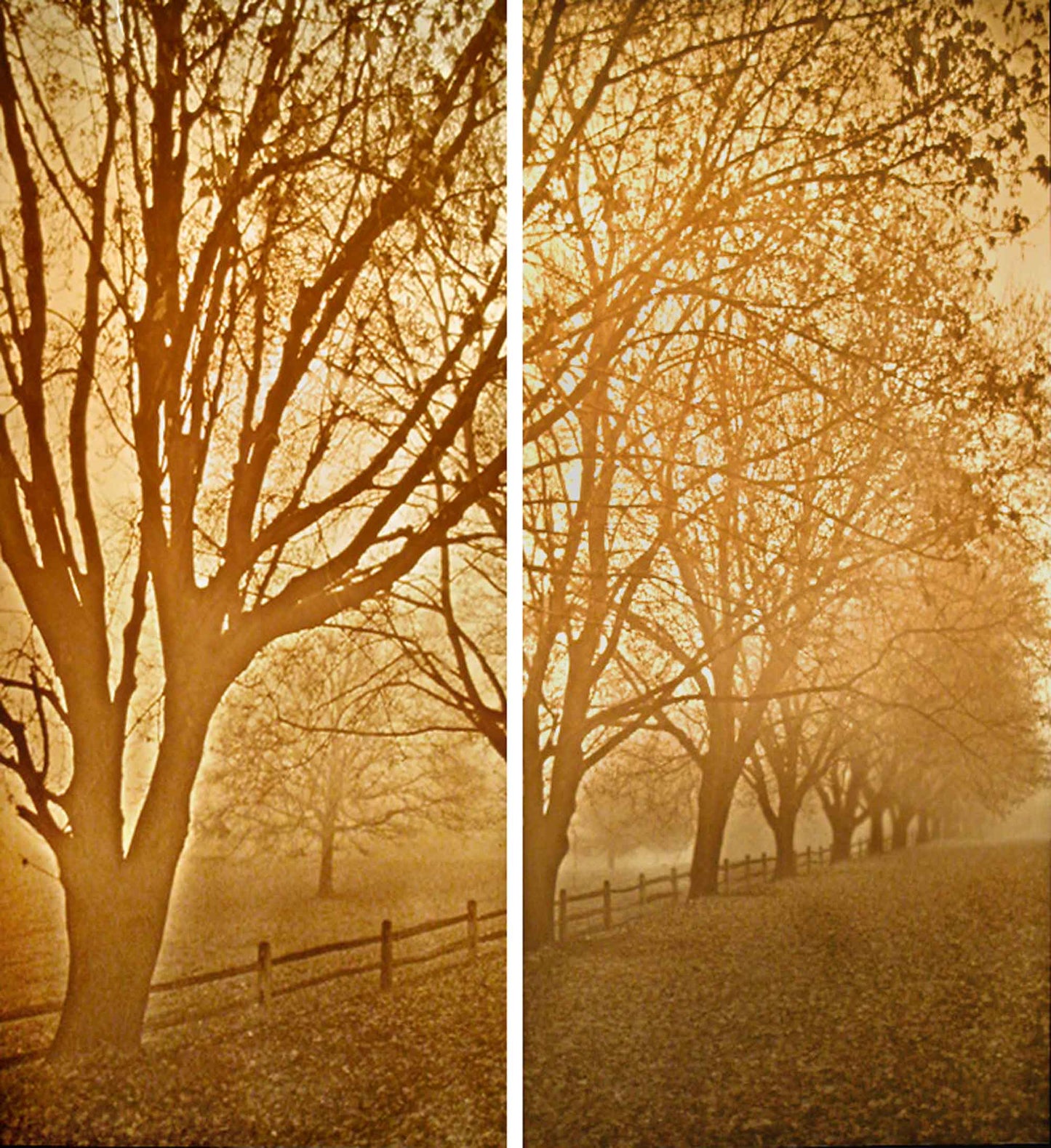 Misty Meadows Luminaire Lamp