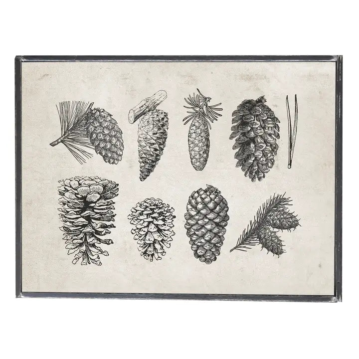 Graphically Speaking Design - Pinecones, Winter Art