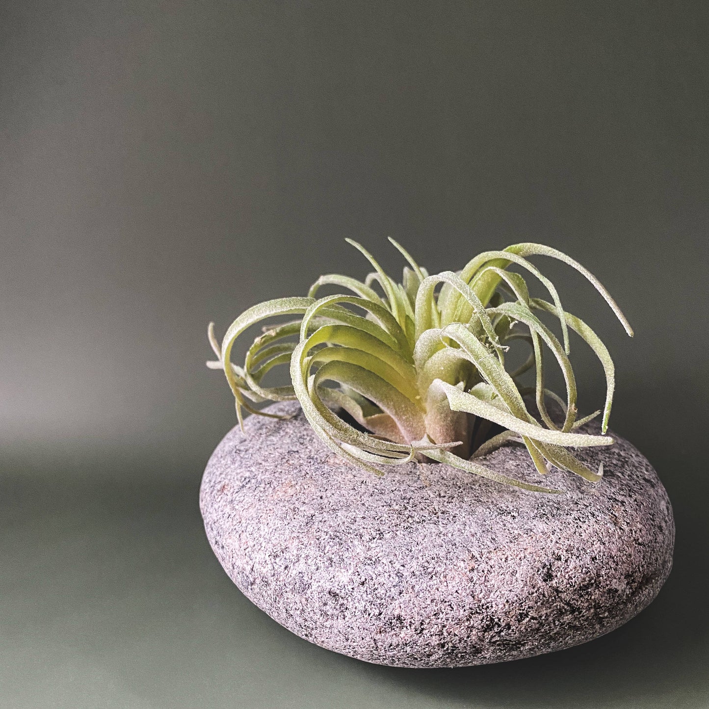 Natural Stone Planter