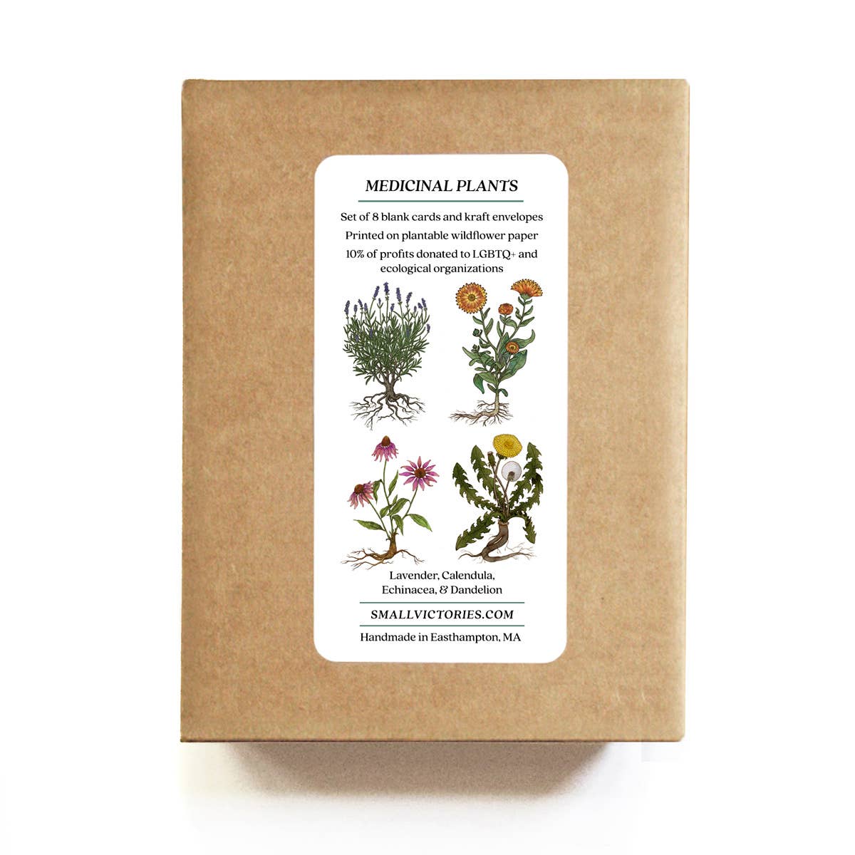 Medicinal Plants Card Set - Plantable Wildflower Seed Paper