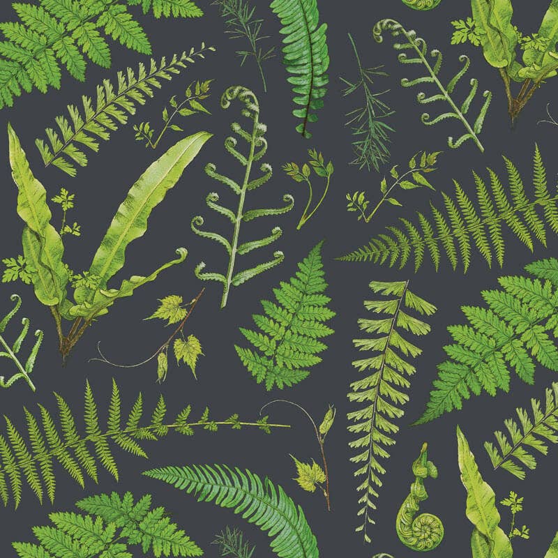 Fern Specimen Paper Placemats (Set of 20)