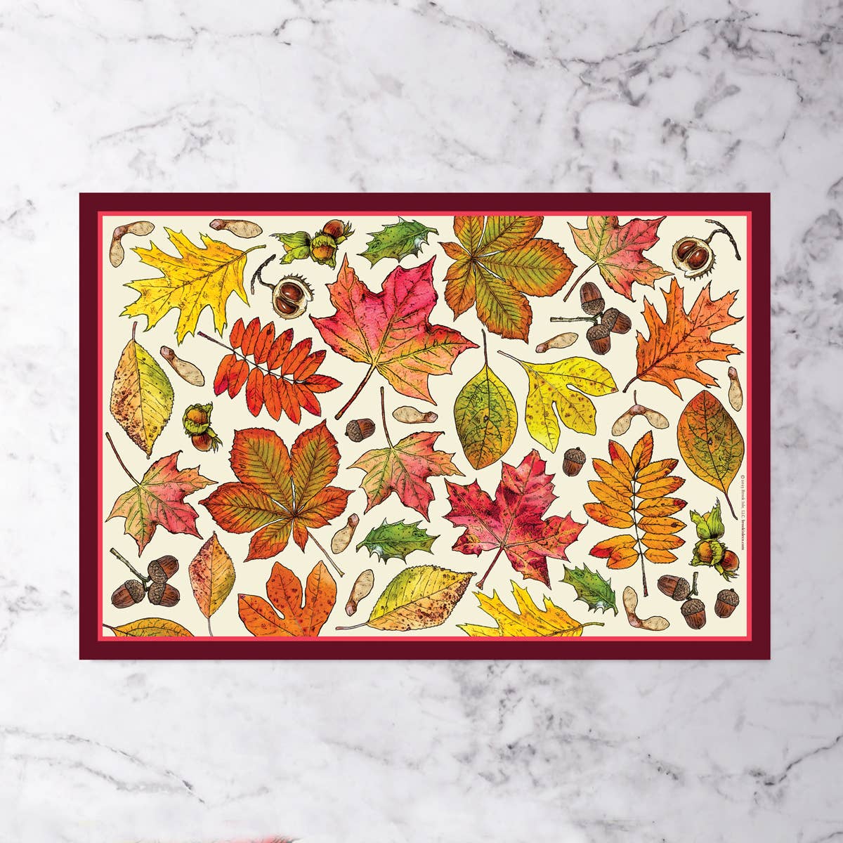 Fall Leaves Paper Placemats (Set of 20)