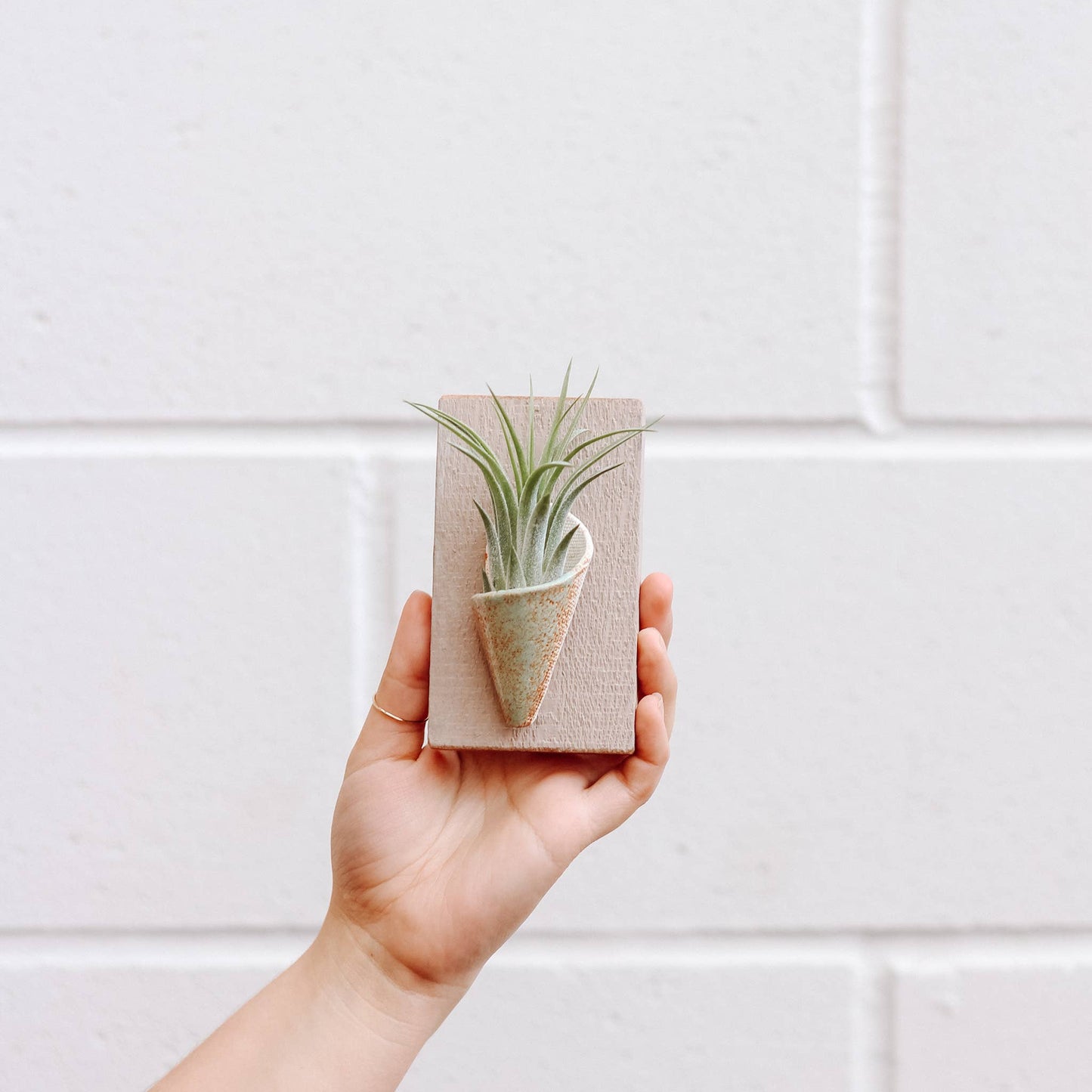 Ceramic Wall Planter - Tiny