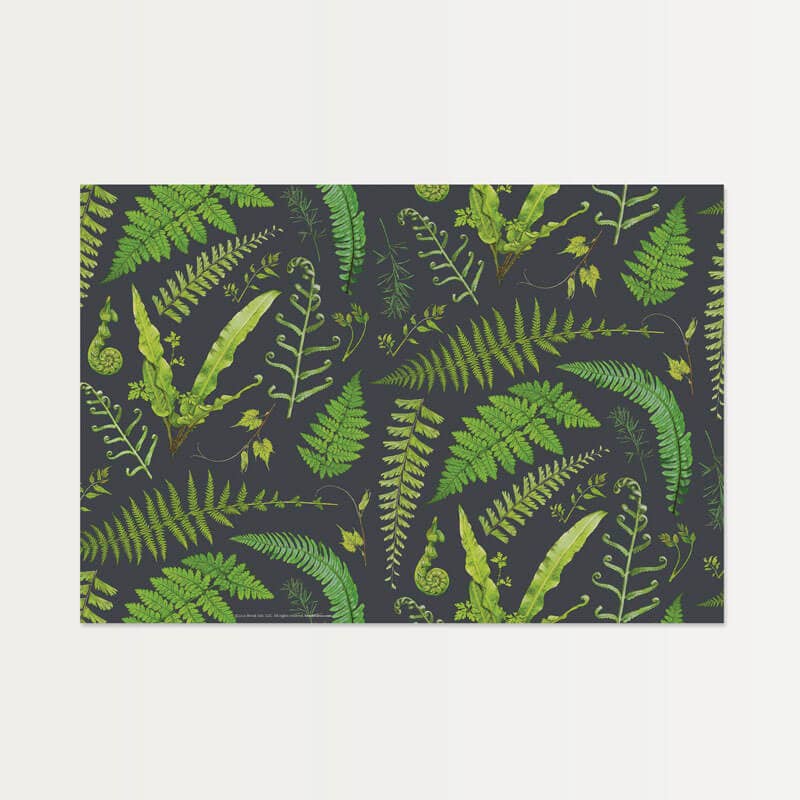 Fern Specimen Paper Placemats (Set of 20)
