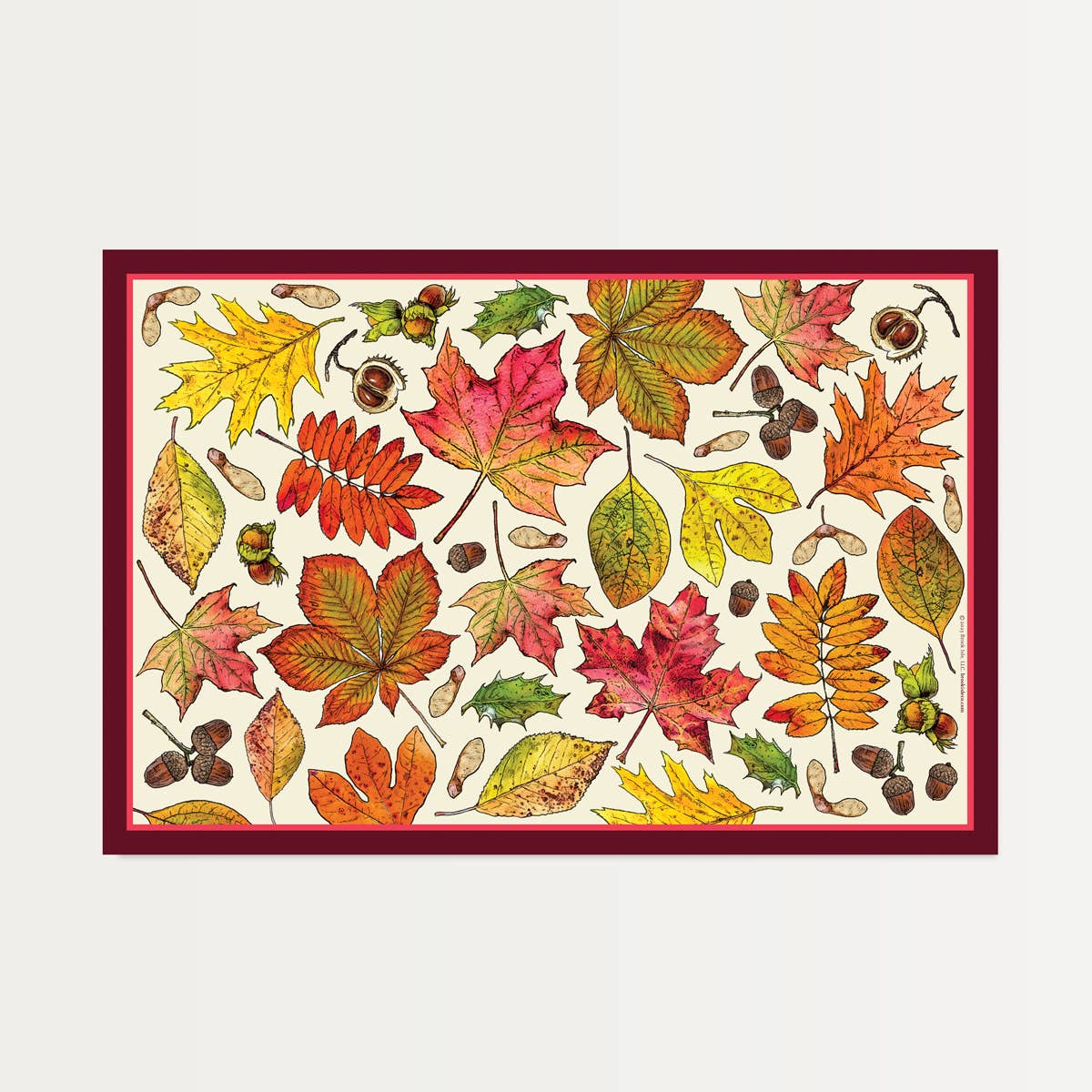 Fall Leaves Paper Placemats (Set of 20)
