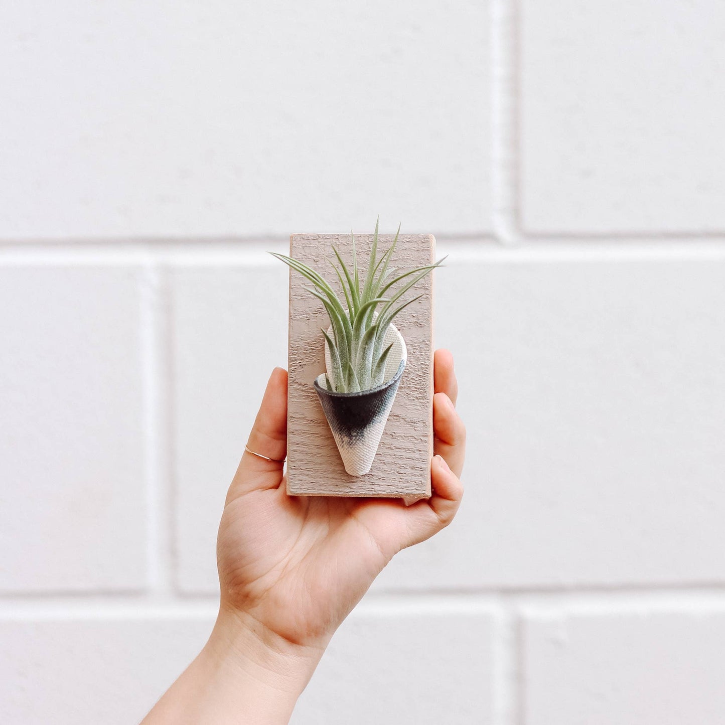 Ceramic Wall Planter - Tiny