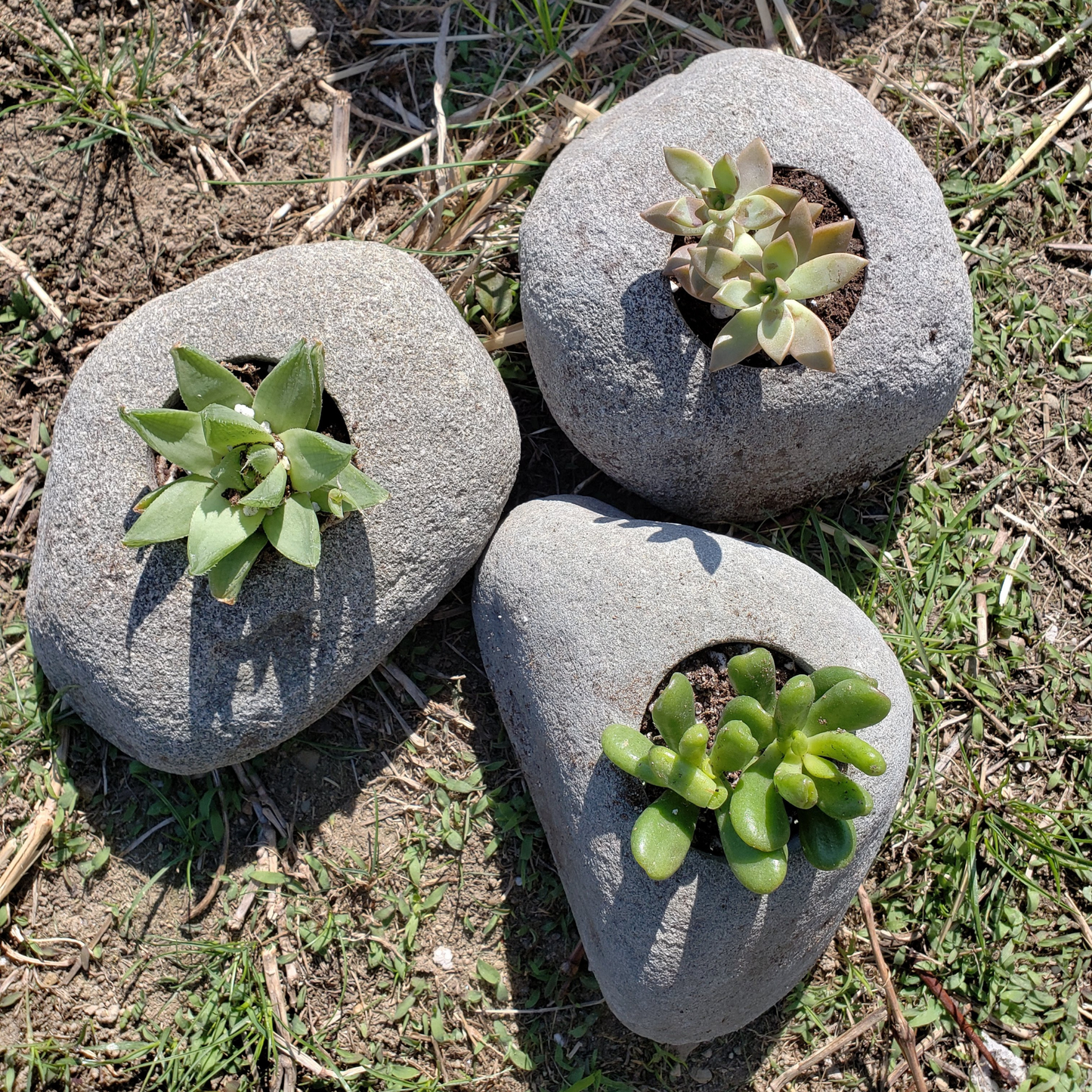 Natural Stone Planter