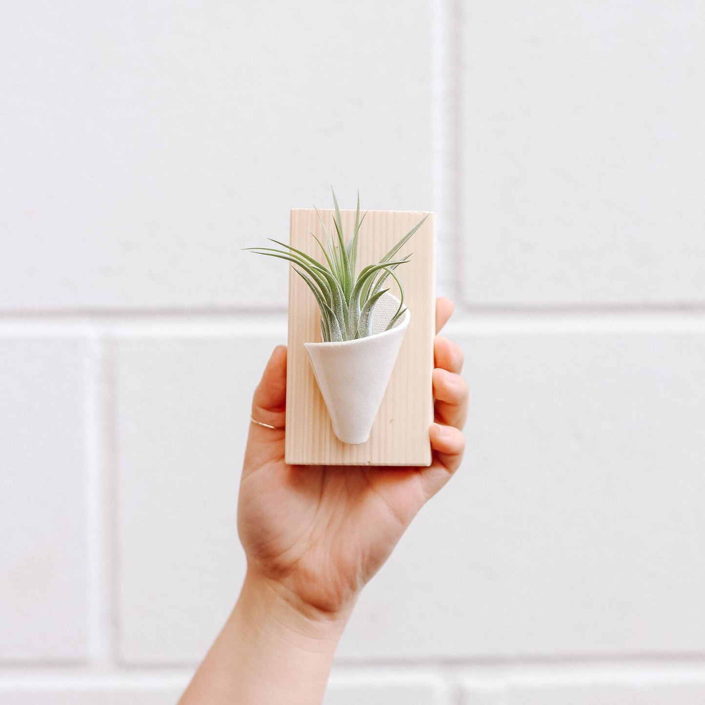 Ceramic Wall Planter - Tiny