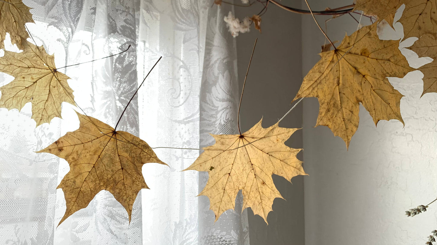Dried Big Leaf Maple Garland - Natural Forest Decor