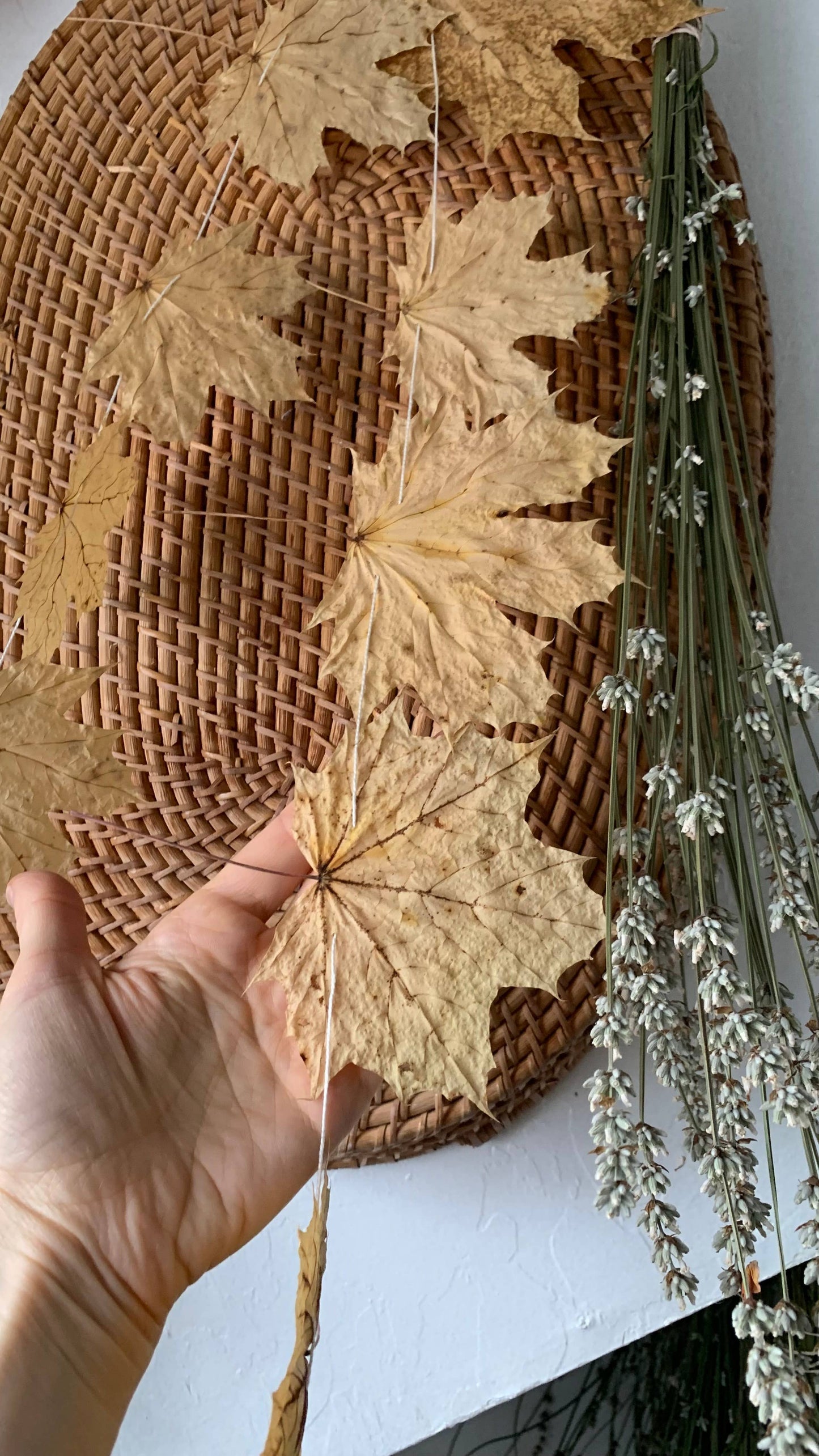 Dried Big Leaf Maple Garland - Natural Forest Decor