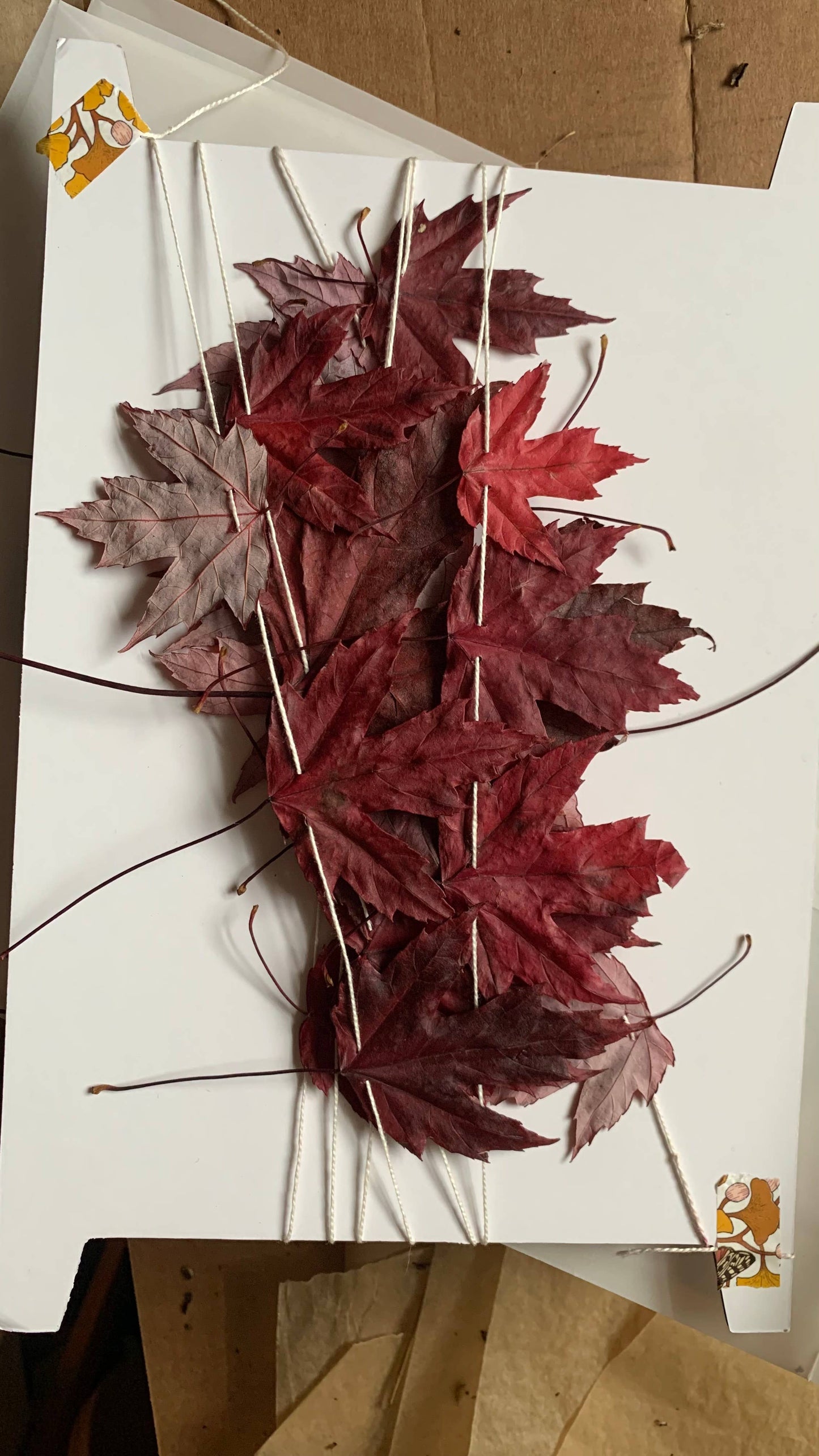 Dried Silver Maple Leaf Garland - Cottage Decor