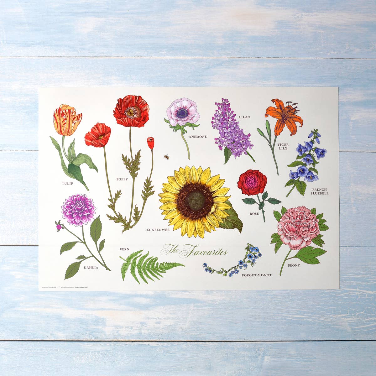 The Favourites Paper Placemats (Set of 20)
