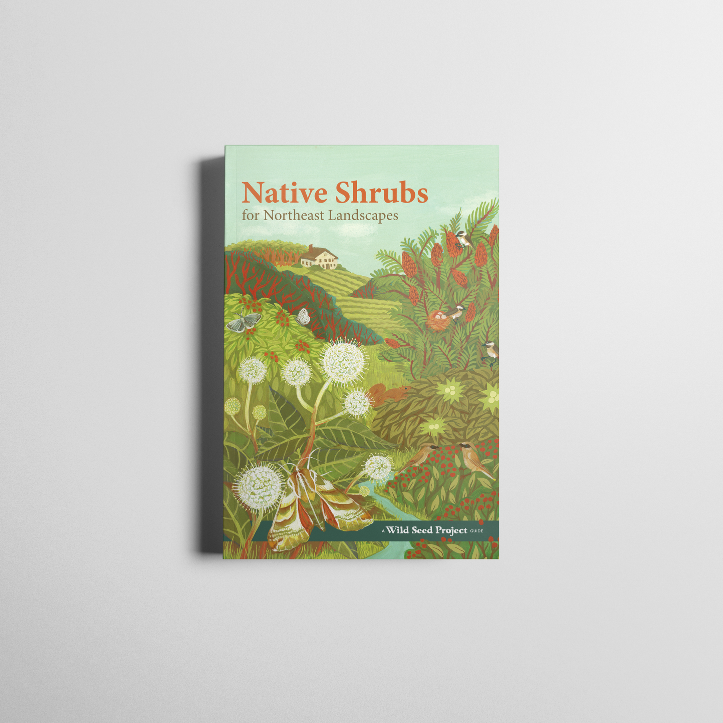 Native Shrubs for Northeast Landscapes