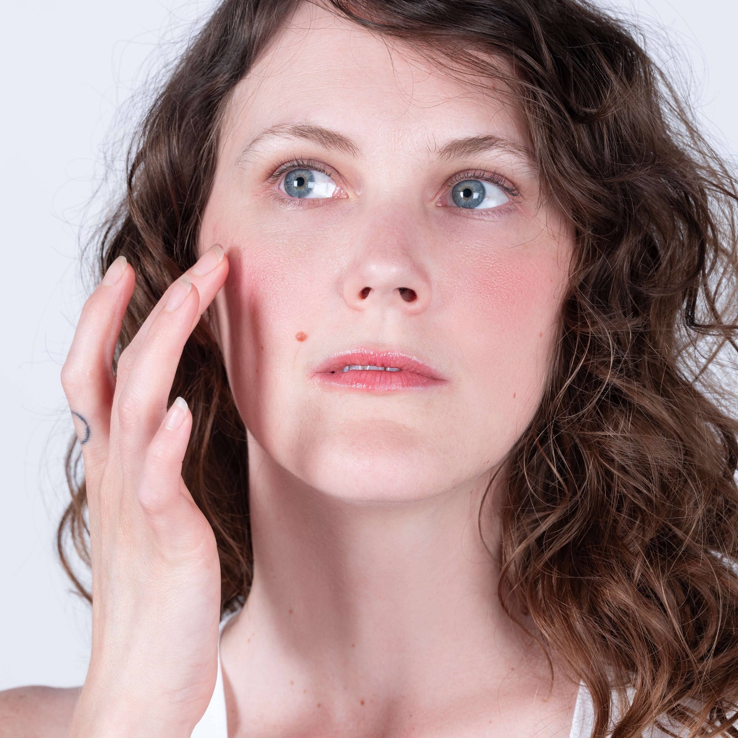 All Natural Lip Tint Blush and Eye Shadow