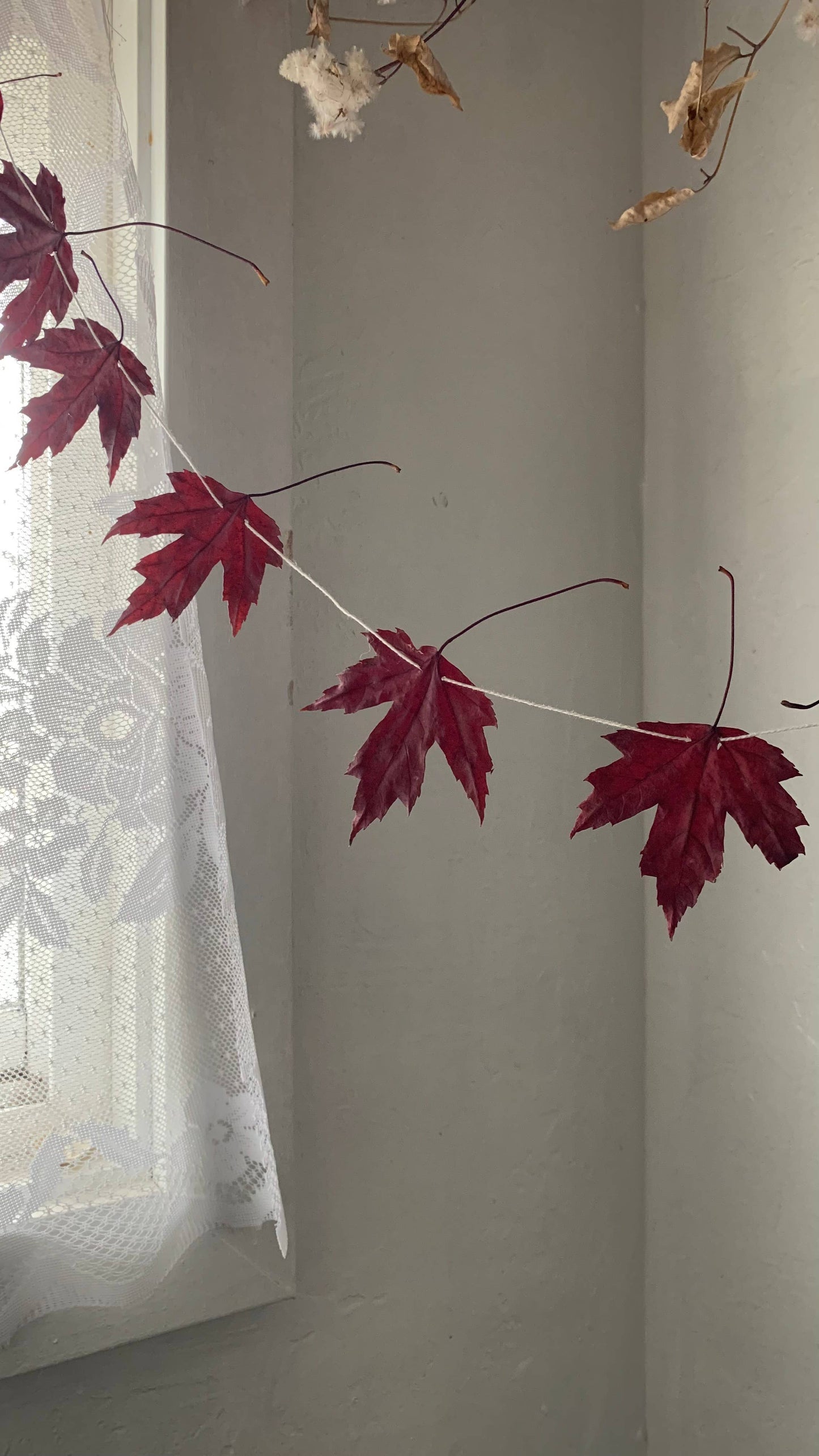 Dried Silver Maple Leaf Garland - Cottage Decor