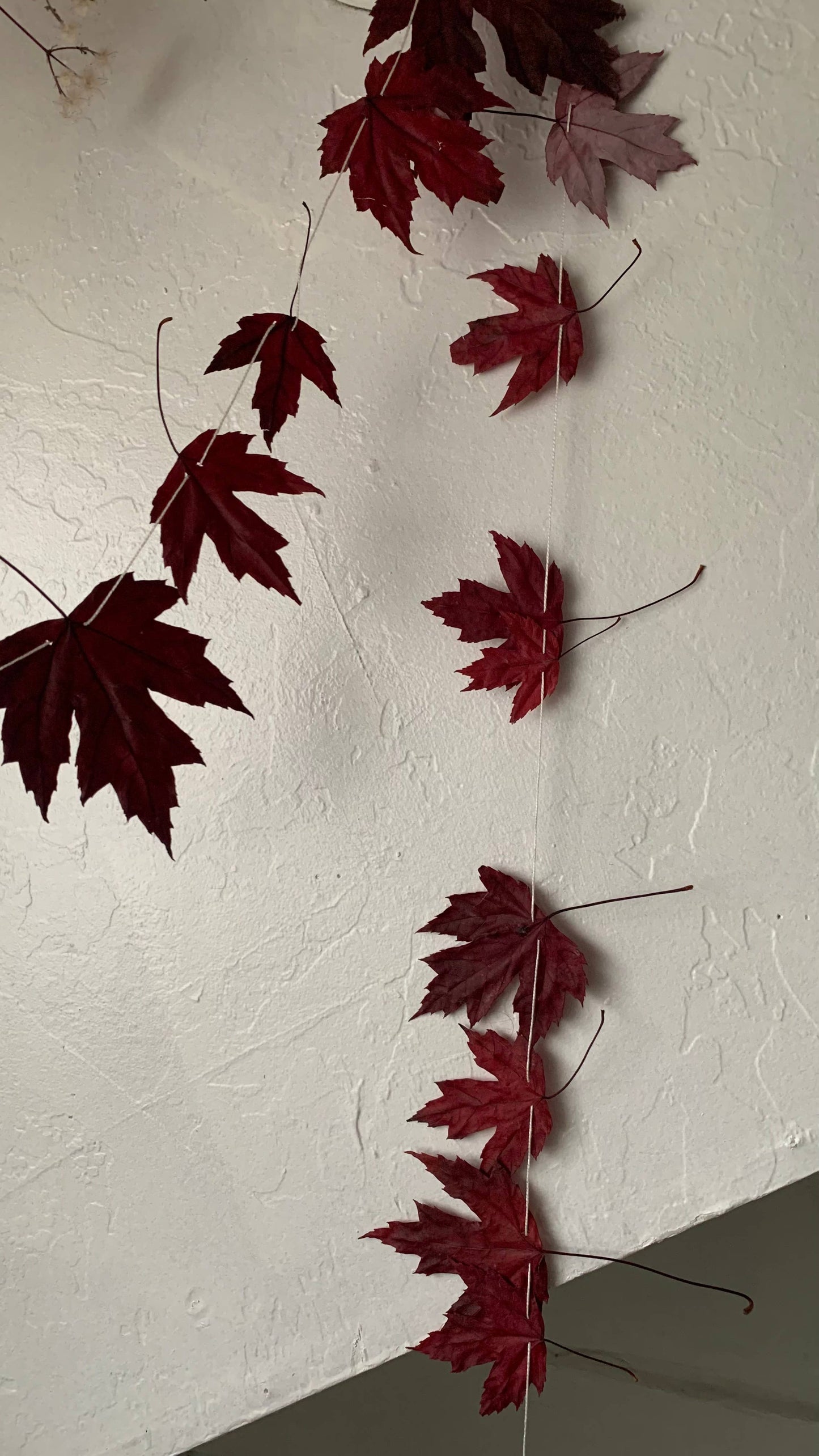 Dried Silver Maple Leaf Garland - Cottage Decor