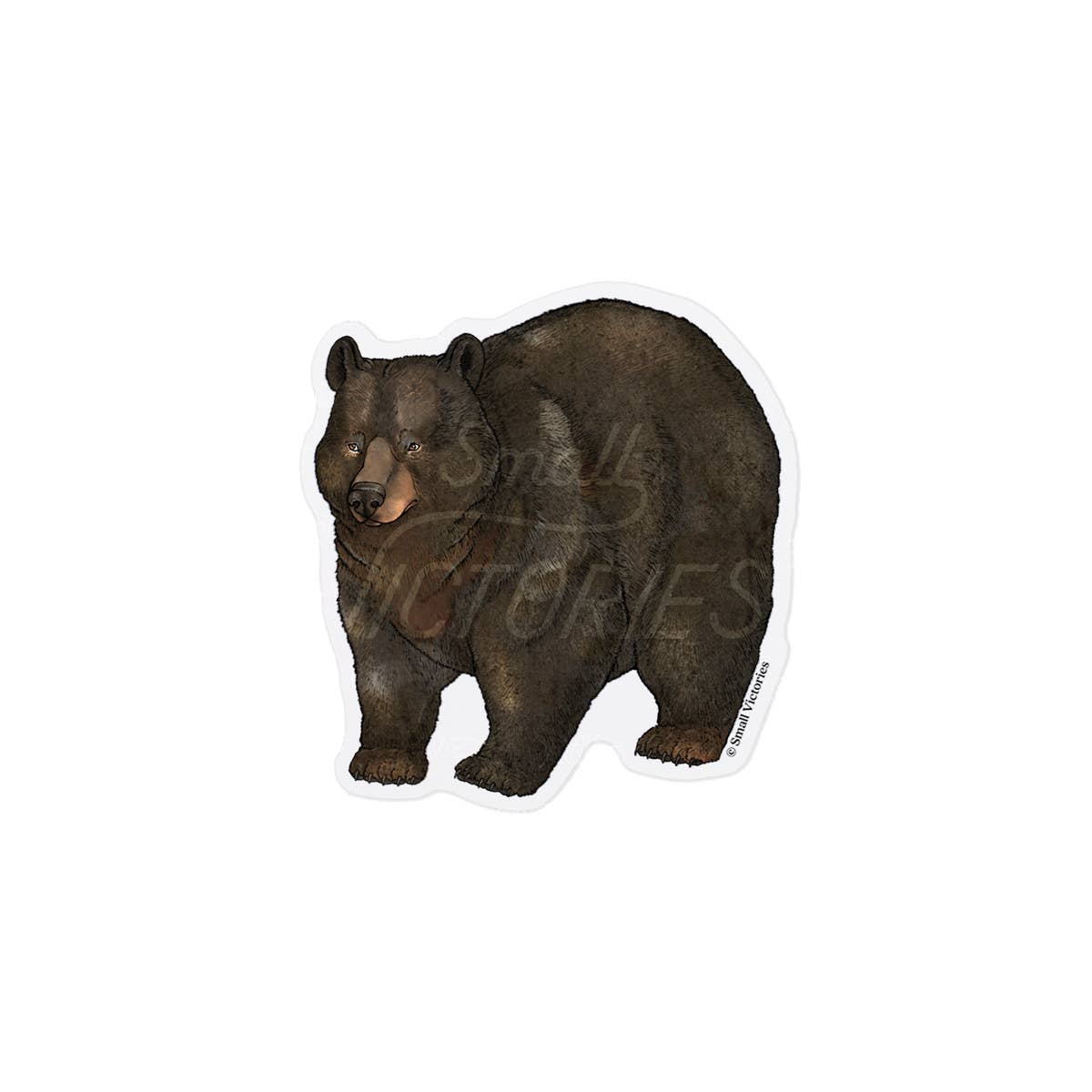 Eco-Sticker: Black Bear