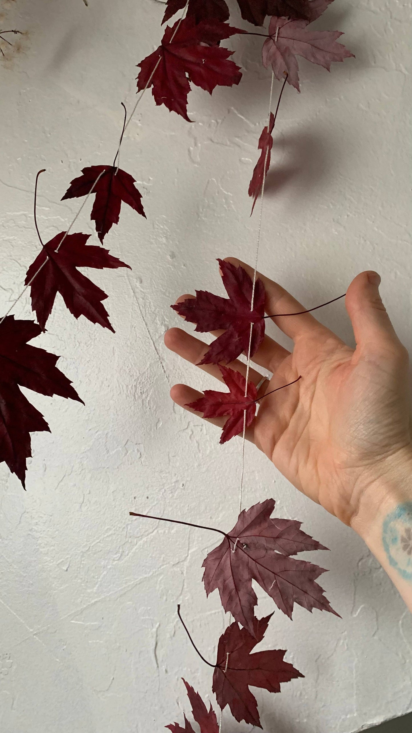 Dried Silver Maple Leaf Garland - Cottage Decor